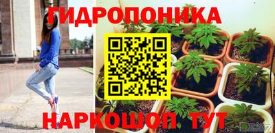 прущие грибы Гусев